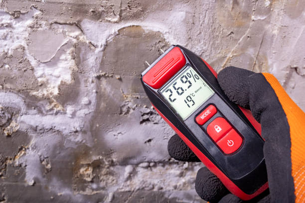 Best Mold Testing  in Aldan, PA